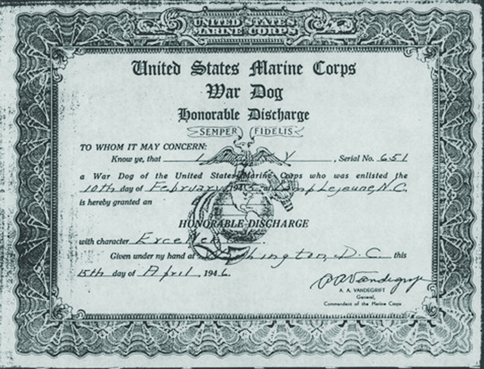 Lucky: Honorable Discharge
