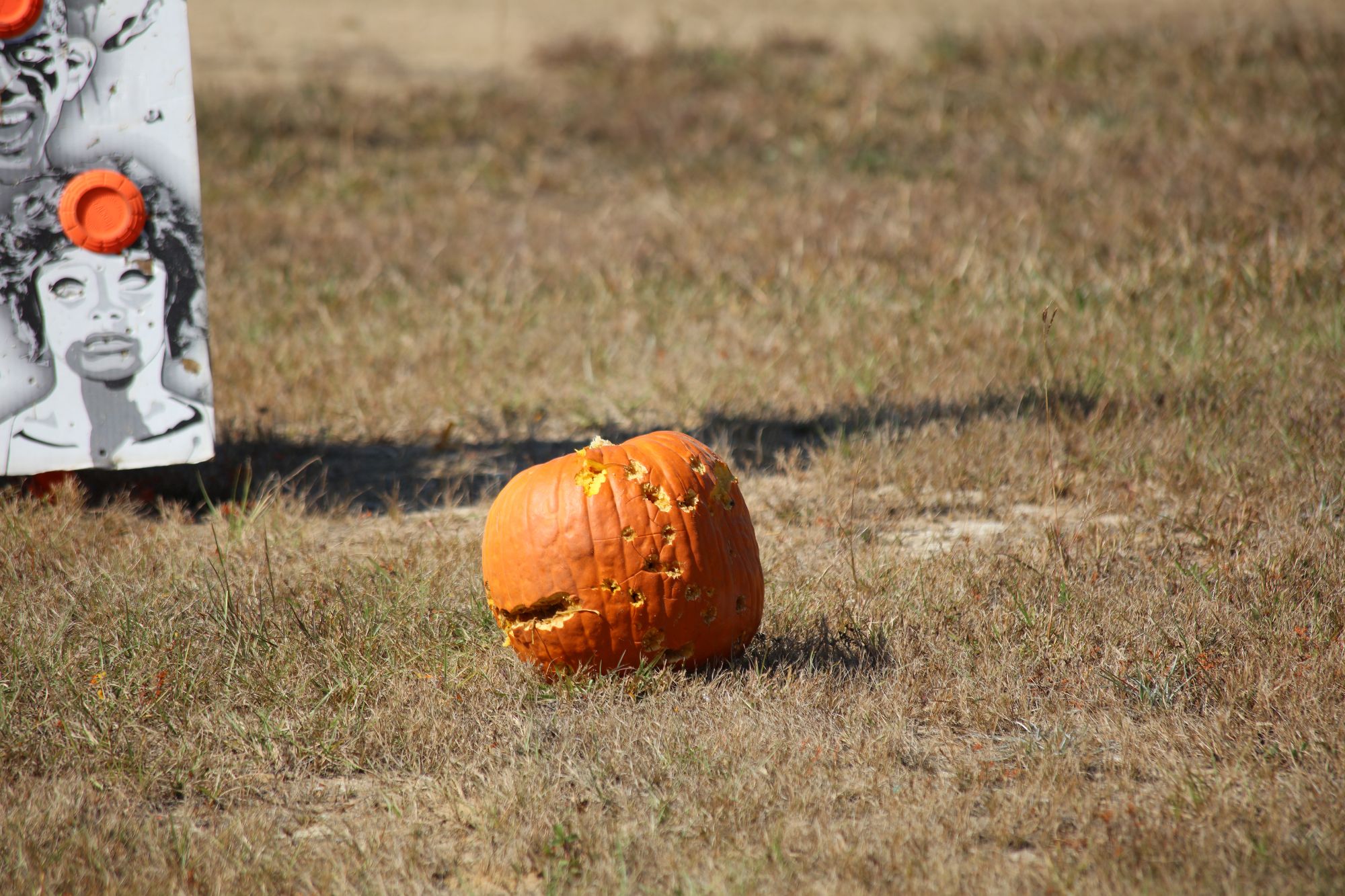 055_Pumpkin_and_ZombieShoot-2024.jpg
